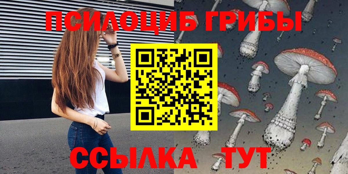 Псилоцибиновые грибы Cubensis Бийск