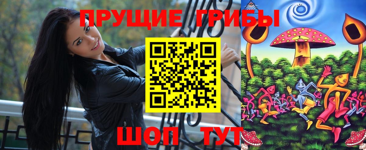 Бийск  Псилоцибиновые грибы мицелий  Вход с VPN  Псилоцибиновые грибы прущие грибы 